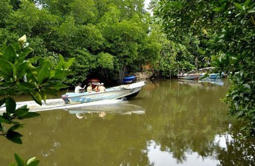 Riverdale Eco Resort ベールワラ エクステリア 写真